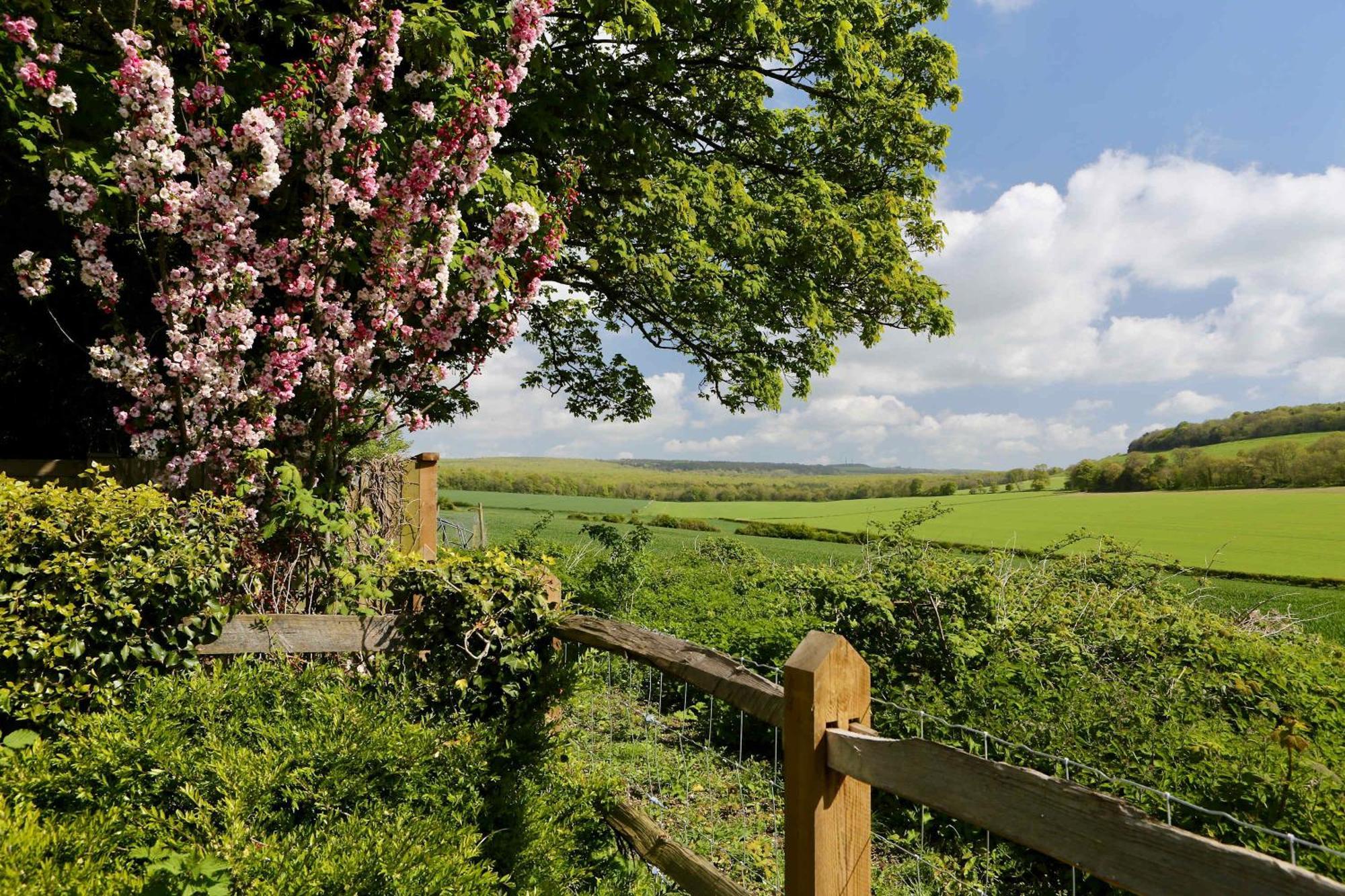 Stunning Cottage In South Downs National Park Eartham Exteriér fotografie